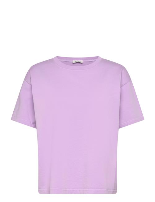 American Vintage | Fizvalley | S