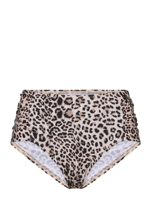 Panos Emporio | Leopard Olympia Btm | 36