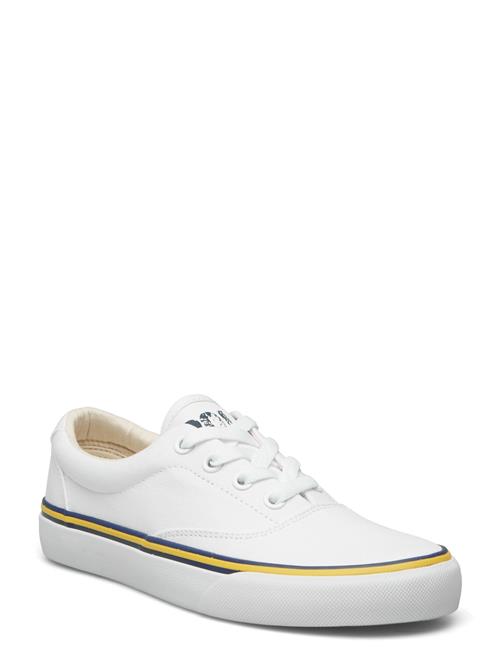 Polo Ralph Lauren | Logo Cotton Canvas Sneaker | 36