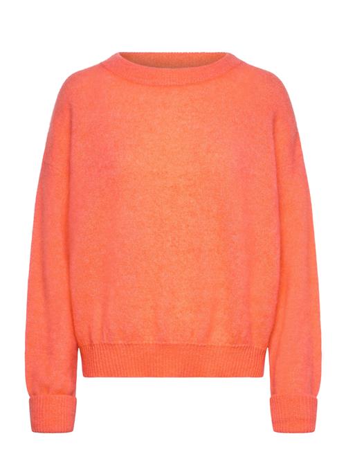 American Vintage | Vitow | M