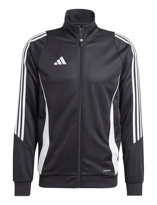 adidas Performance | Tiro24 Trjkt | M