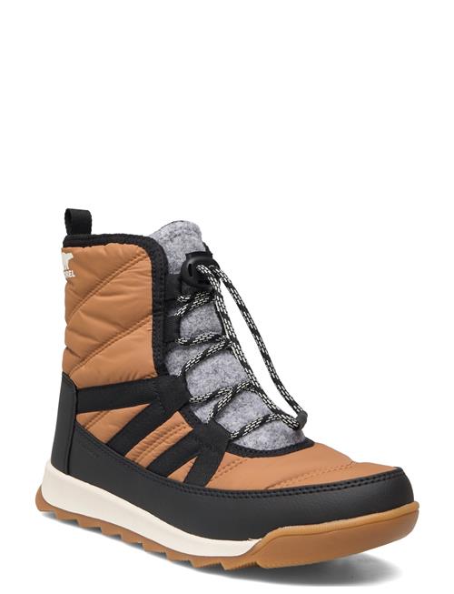 Sorel | Youth Whitney Ii Plus Lace Wp | 35