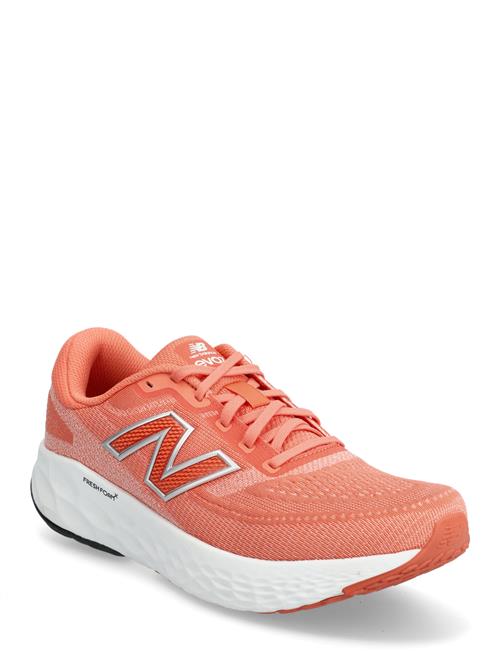 New Balance | New Balance Freshfoam Evoz V4 | 39