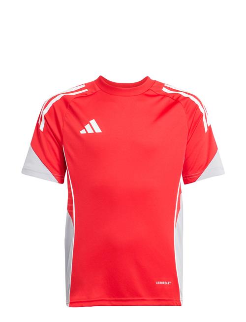 adidas Performance | Tiro25C Tr Jsyy | 176