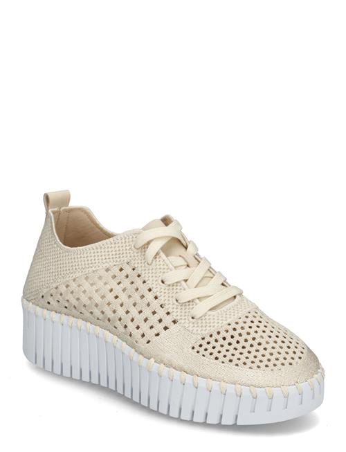 Ilse Jacobsen | Tulip4271 | 40