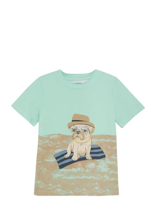 Minymo | T-Shirt Ss | 128