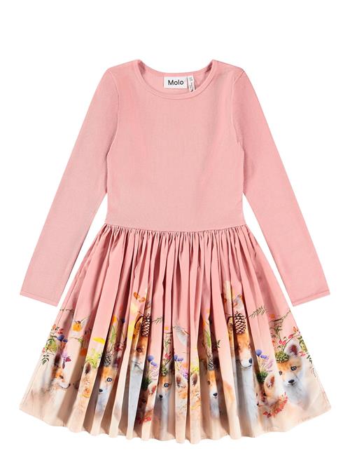 Molo | Casie | 134/140