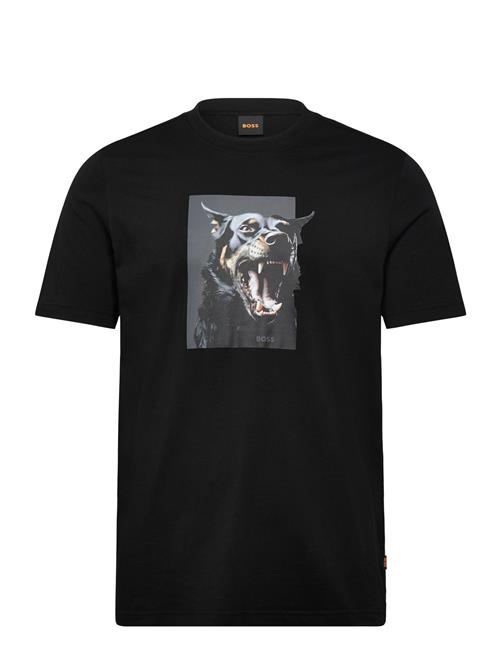 BOSS | Te_Dobermann | XXL