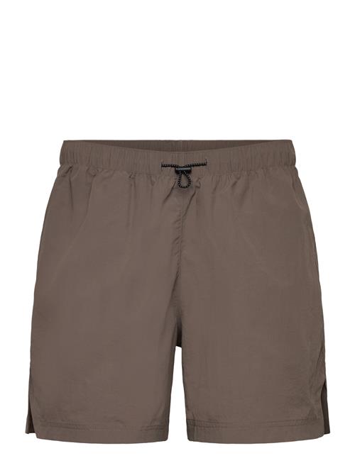 Björn Borg | Borg Gym 5" Shorts | M