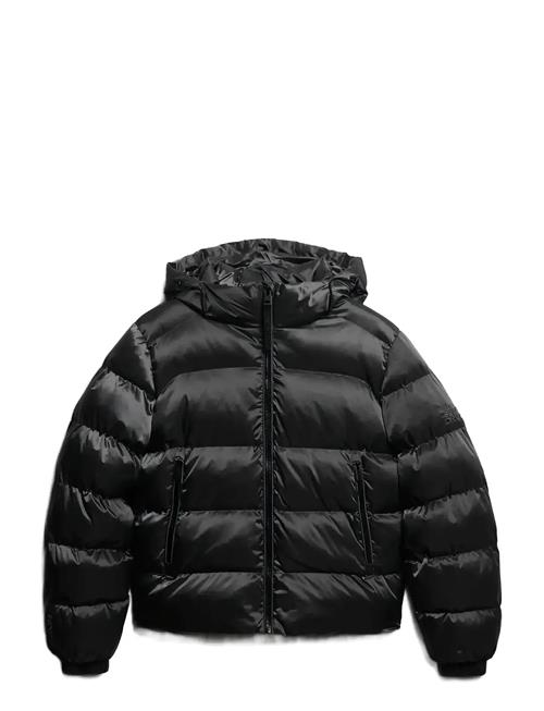 Superdry | Hooded Luxe Sports Puffer | L