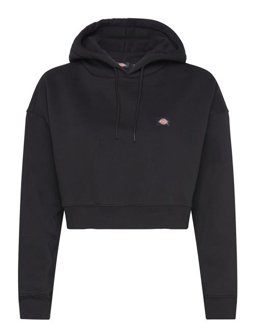 Dickies | Oakport Cropped Hoodie | M