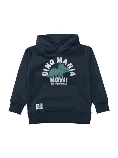 STACCATO Sweatshirt  marin / lysegrå / gran