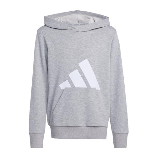 ADIDAS SPORTSWEAR Sweatshirt 'Essentials'  grå / hvid