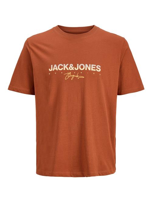 Jack & Jones Junior Shirts 'JORCanggu'  pastelblå / orange / blodrød