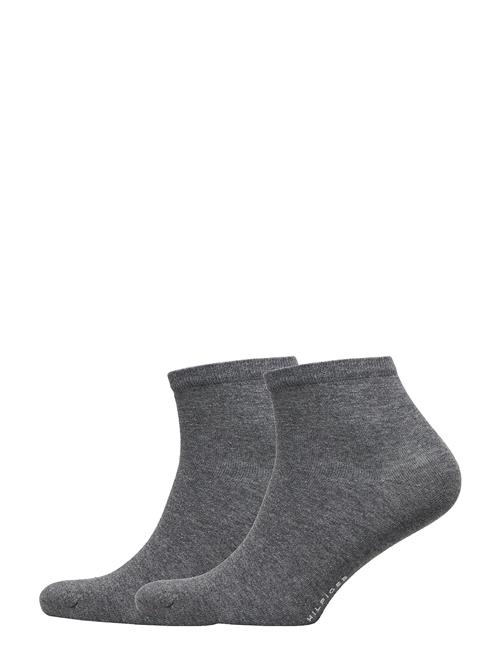 Tommy Hilfiger | Th Women Casual Short Sock 2P | 35-38