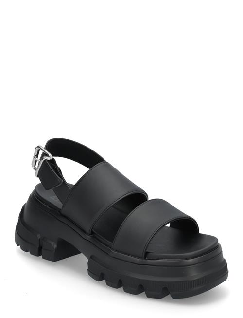 Tommy Hilfiger | Tjw Chunky City Sandal | 40