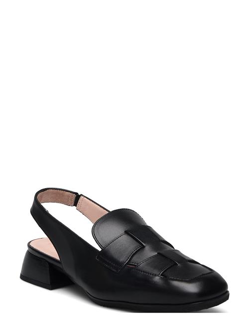 Wonders | Renata | 41