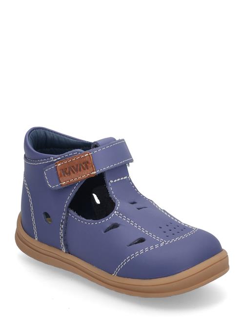 Kavat | Backe | 23/14.8CM