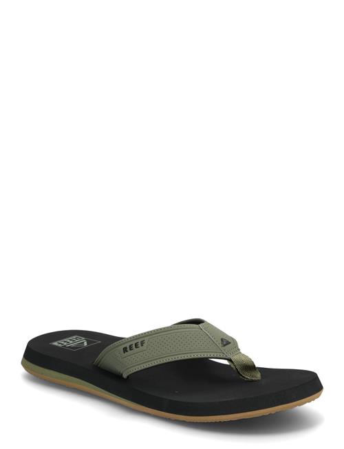 REEF | The Layback | 43