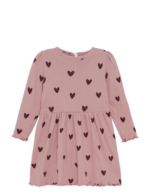 Creamie | Dress Rib | 98