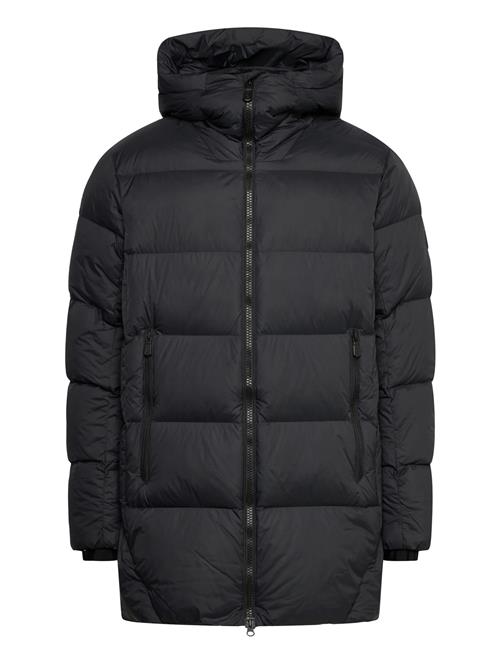 Sail Racing | Cloud Down Parka | XL