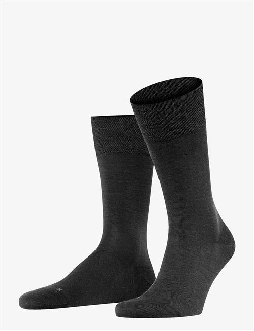 Falke | Falke Sens. Berlin So