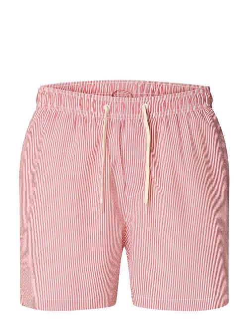 Selected | Slhcooper-Seersucker Swimshorts | L