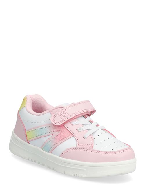 PAX | Blaze Pax | 27