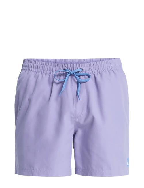 Quiksilver | Everyday Volley 15 | XXL