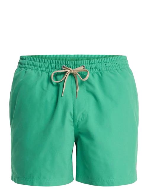 Quiksilver | Everyday Volley 15 | M