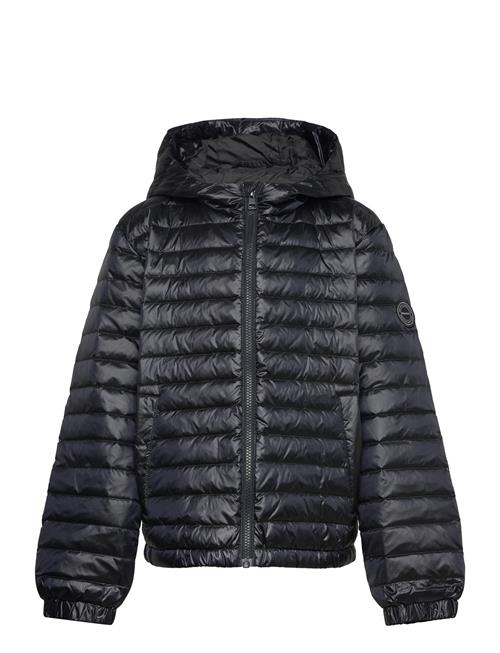 GANT | Shiny Light Padded Down Jacket | 176