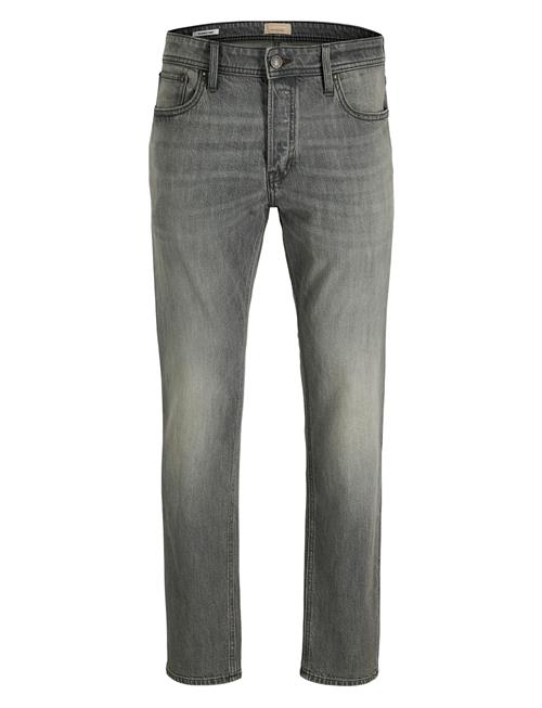 Jack & Jones | Jjimike Jjoriginal Sbd 558 | 34 x 34