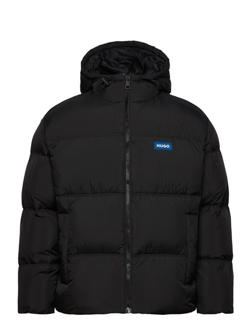 HUGO BLUE | Bodo2541 | XL