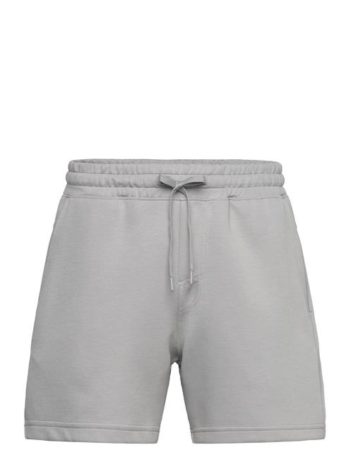 Hollister | Hco. Guys Shorts | XL