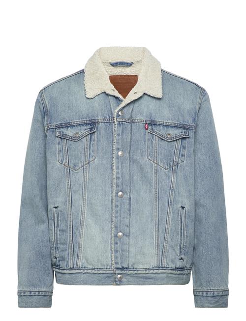 Levi's® | Type 3 Sherpa Trucker Kentucky | XL