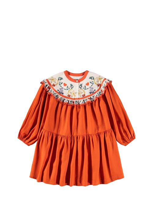 Molo | Cibbe | 122/128