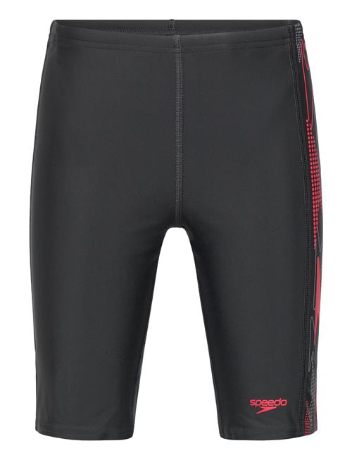 Speedo | Placement Jammer | 116