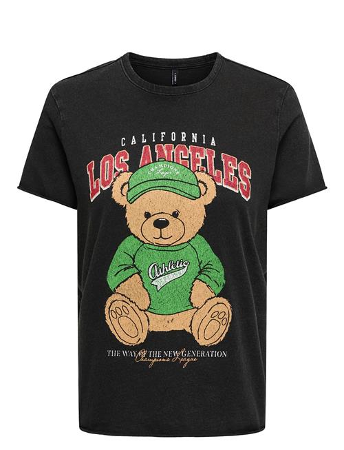 ONLY | Onllucy Life Reg S/S Top Box Jrs | S