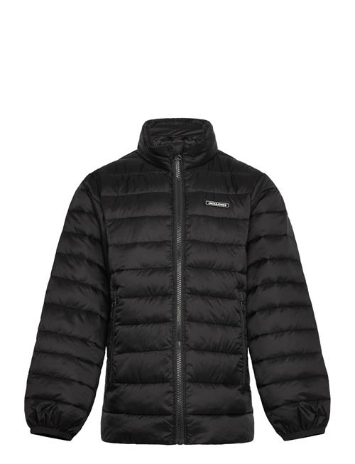 Jack & Jones | Jjlouis Light Puffer Collar Jnr | 140