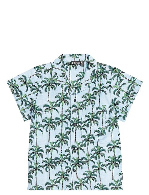 TUMBLE 'N DRY | Tnd Palm Island | 128