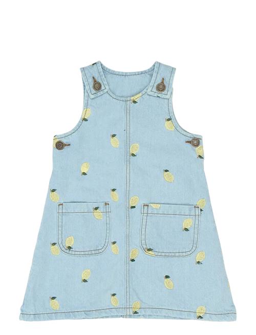 The New | Tnstsaja S_L Denim Dress | 104