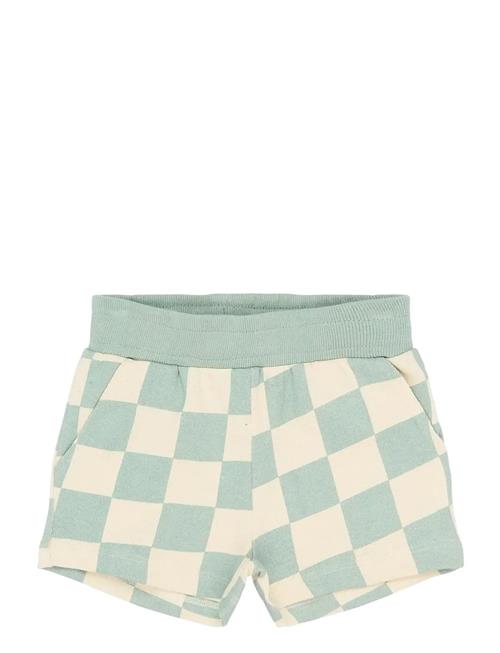 The New | Tnstsebastian Shorts | 104
