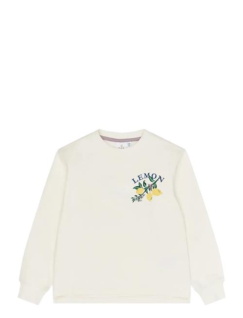 The New | Tnsafina Sweatshirt | 98/104