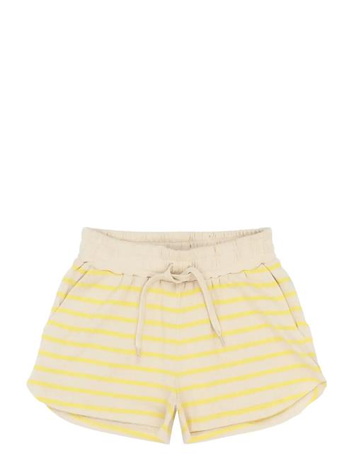 The New | Tnshannon Shorts | 146/152