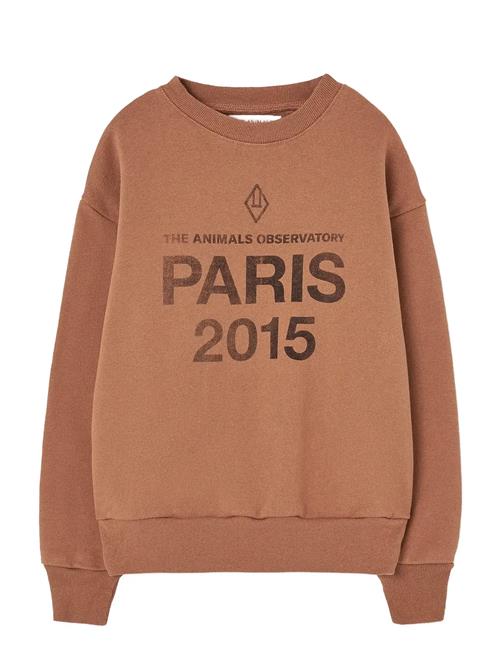 THE ANIMALS OBSERVATORY | Sun Almond Brown Bear Sweatshirt | 10 Y