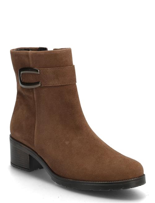 Gabor | Ankle Boot | 41