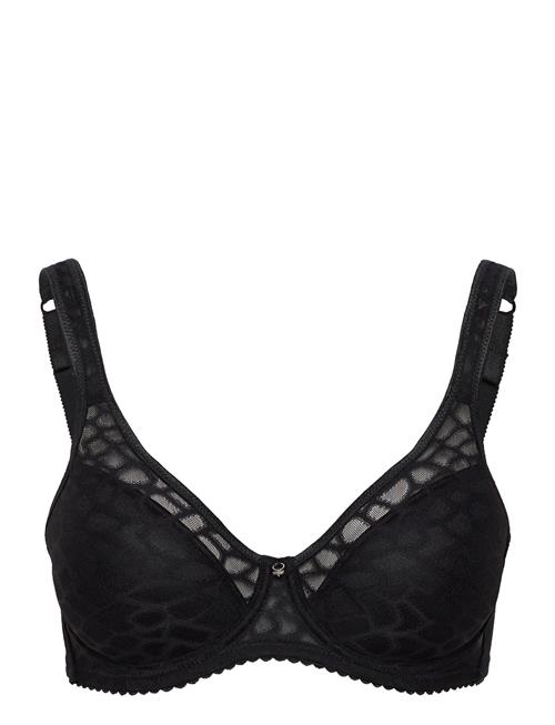 Swegmark | Rita Icon Wire Bra Padded Moulded | E x 85