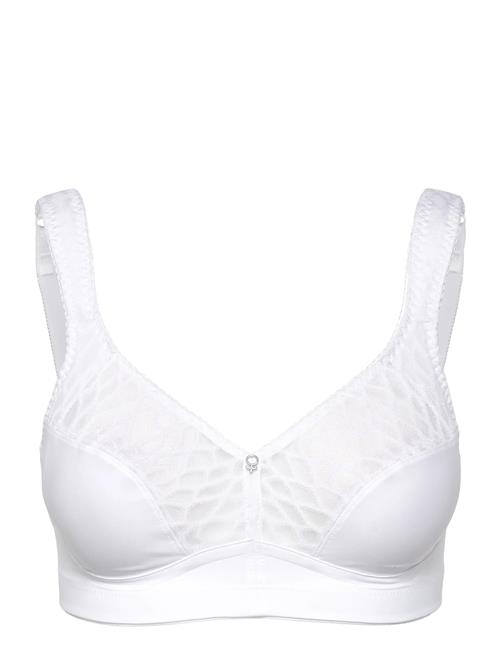 Swegmark | Lovely Lilly Soft Bra | C x 100