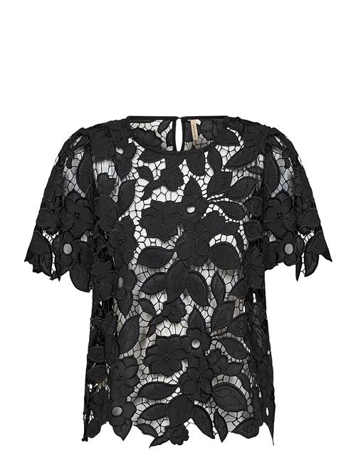 Soyaconcept | Sc-Cassandra | L