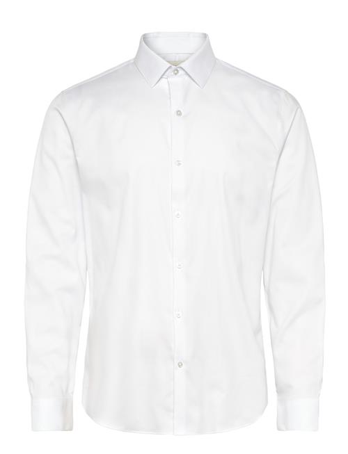 Calvin Klein | Slim Str Collar Sld | 43